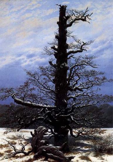  The Oaktree in the Snow